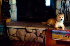 乐鱼app-基：全黑队的“全能防守者”，每一次拦截都带来新的攻势机会