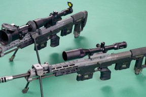 LEYU SPORTS中国官方网站-该项目选手技术动作柔和协调