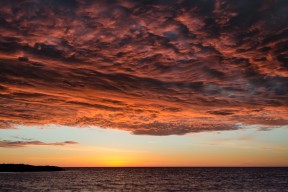 乐鱼电竞在线平台-体育新闻中心主办体育文化数字传播创新研讨会，数字体育发展