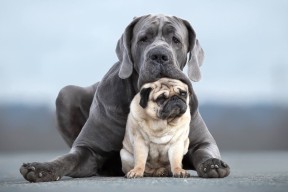 乐鱼体育(中国)官方网站-波兰乒乓队的未来：从青训到世界舞台的全面布局，波兰乒乓球国家队