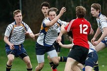 乐鱼官方登录入口-全国青少年轮滑自由式赛场上精彩纷呈，第五届全国自由式轮滑锦标赛