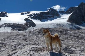leyu乐鱼在线登录入口-东契奇表示本赛季目标只有冲击总决赛，东契奇比赛集锦