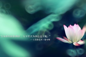 leyu.com-英超青训教练与一线教练接班机制对比分析，英超教练团队的构成