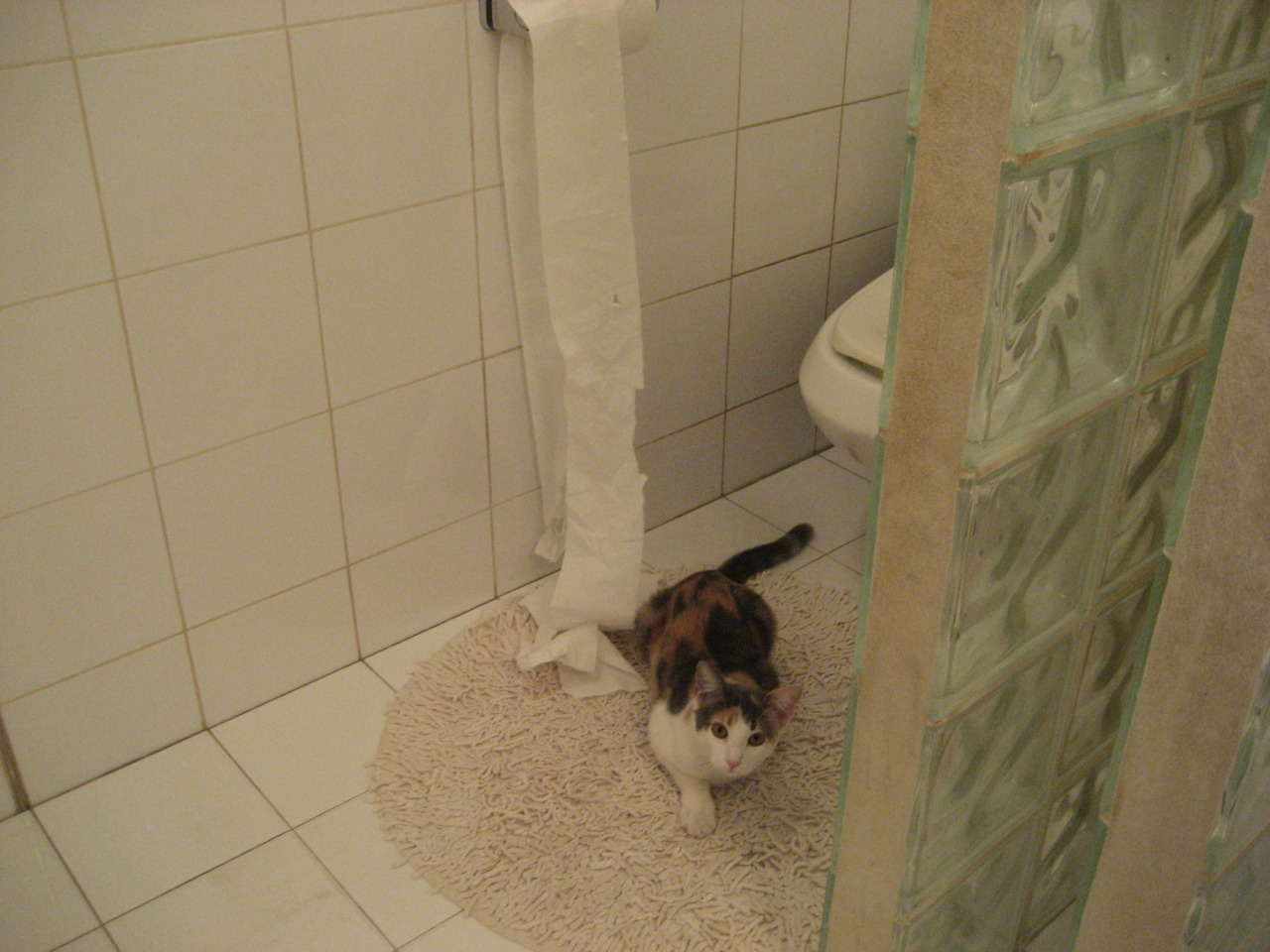 体育医疗保障体系提升运动安全水平,体育医疗包括