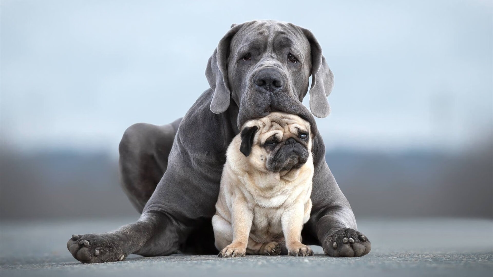 波兰乒乓队的未来:从青训到世界舞台的全面布局,波兰乒乓球国家队