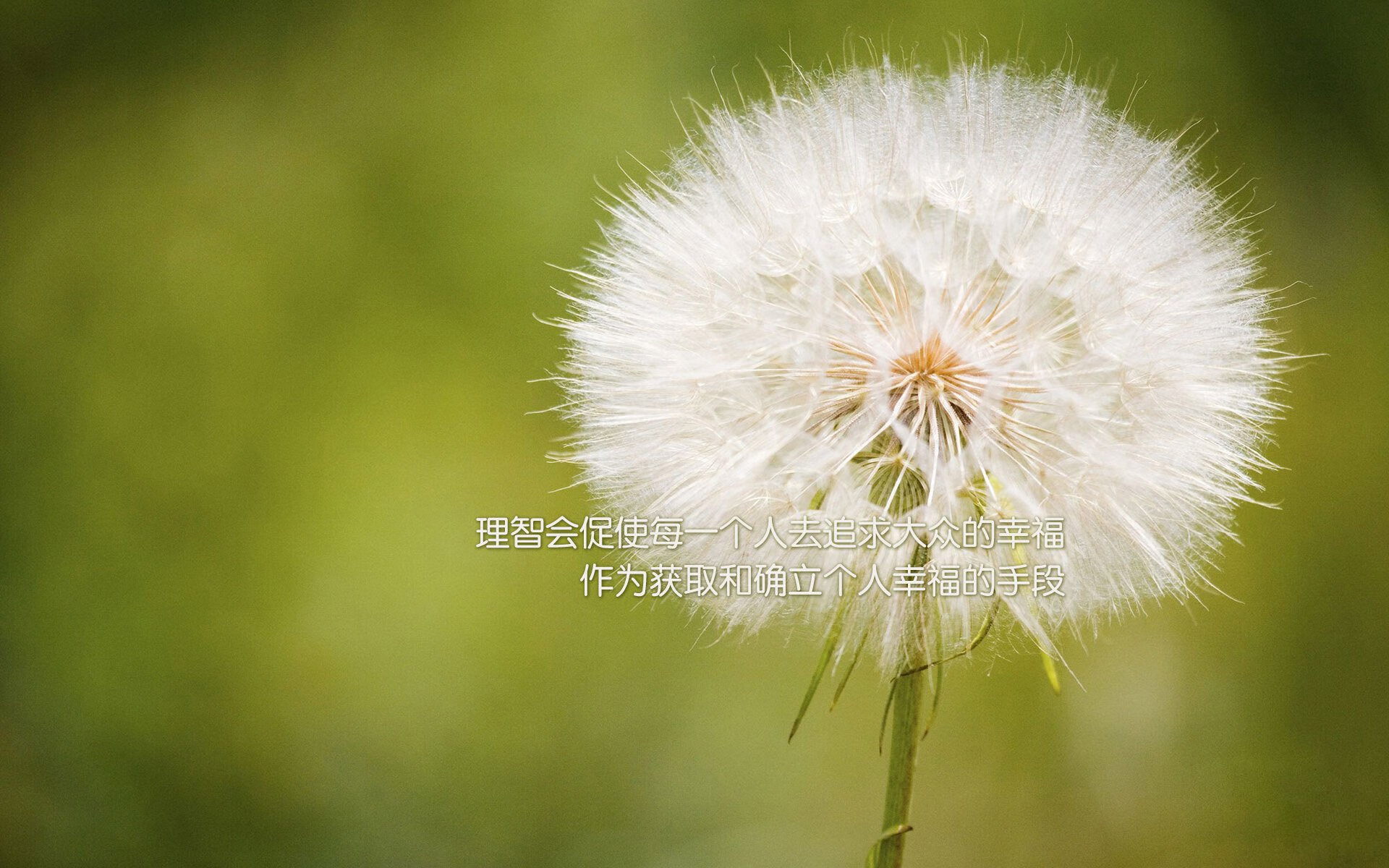 青训政策落实缺乏有效监督,青少年训练中存在的问题