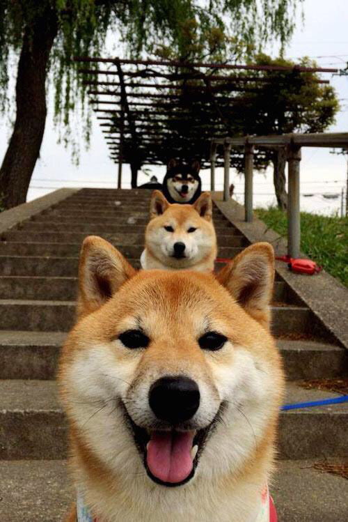 马竞稳固站位抵挡连续反扑攻势,马竞防守集锦