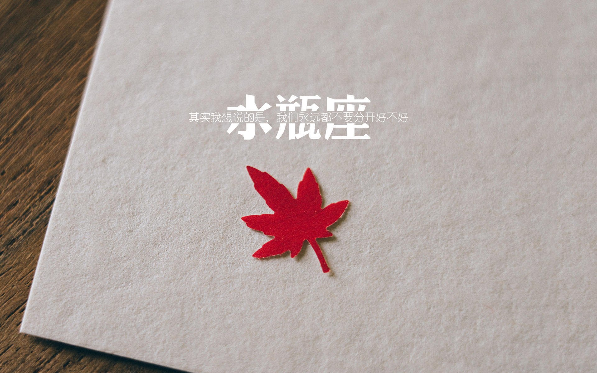 “美洲狮队突破极限,阿根廷橄榄球迎来新黄金时代”