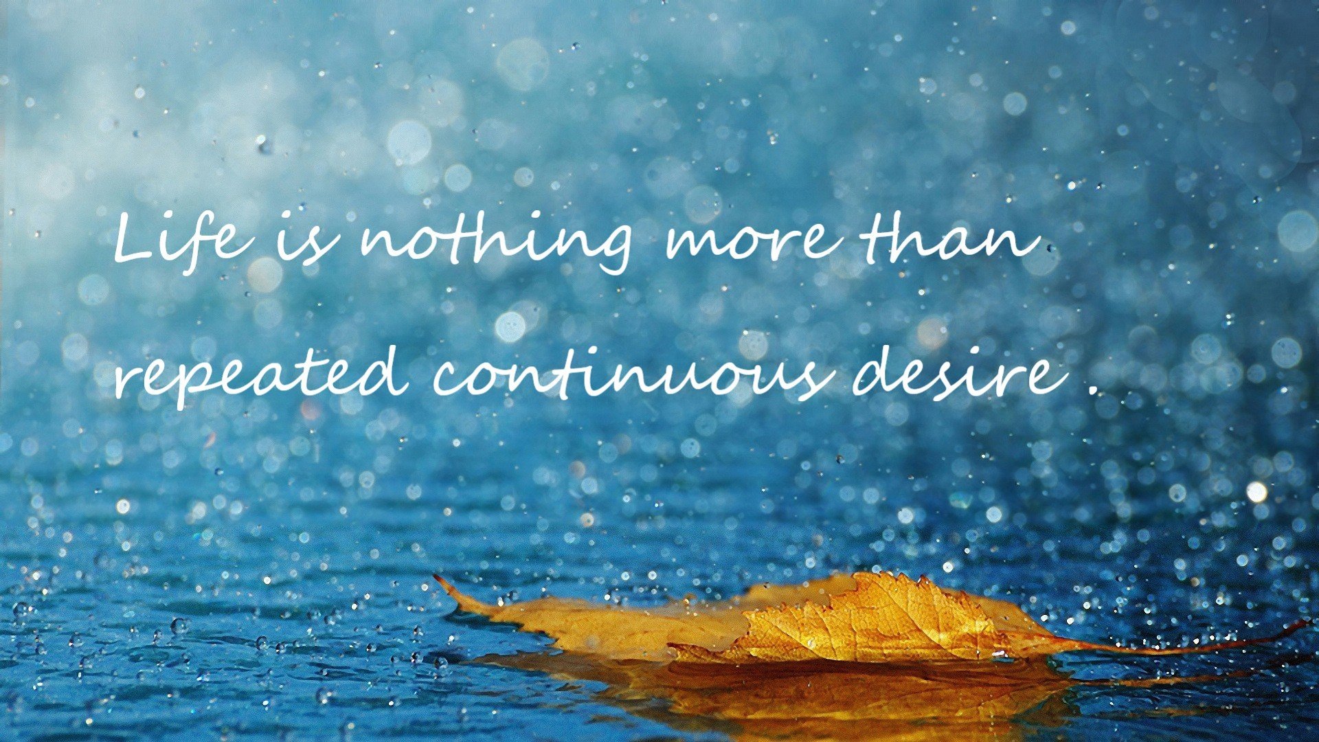 乌干达女篮在非洲锦标赛中勇夺佳绩,续写非洲篮球新传奇,乌干达女超