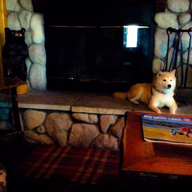 基:全黑队的“全能防守者”,每一次拦截都带来新的攻势机会